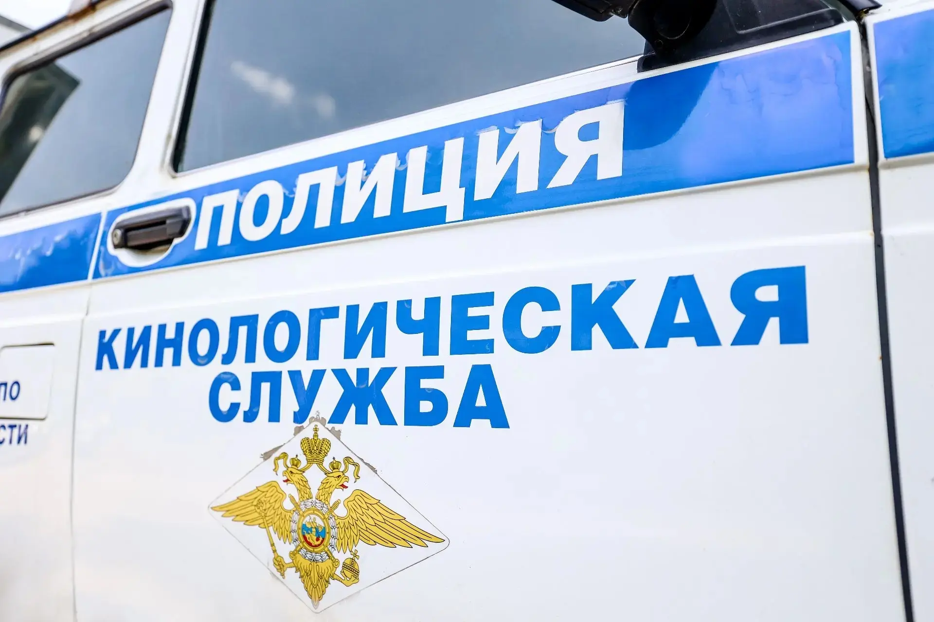 В Красногорске строим новое здание кинологического центра, которое станет уютным, современным простр