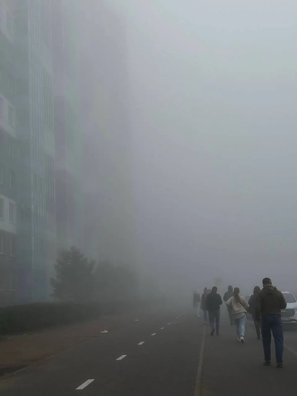 😶‍🌫️ Сегодня ночью и завтра утром в Петербурге ожидается туман с видимостью 500 метро...