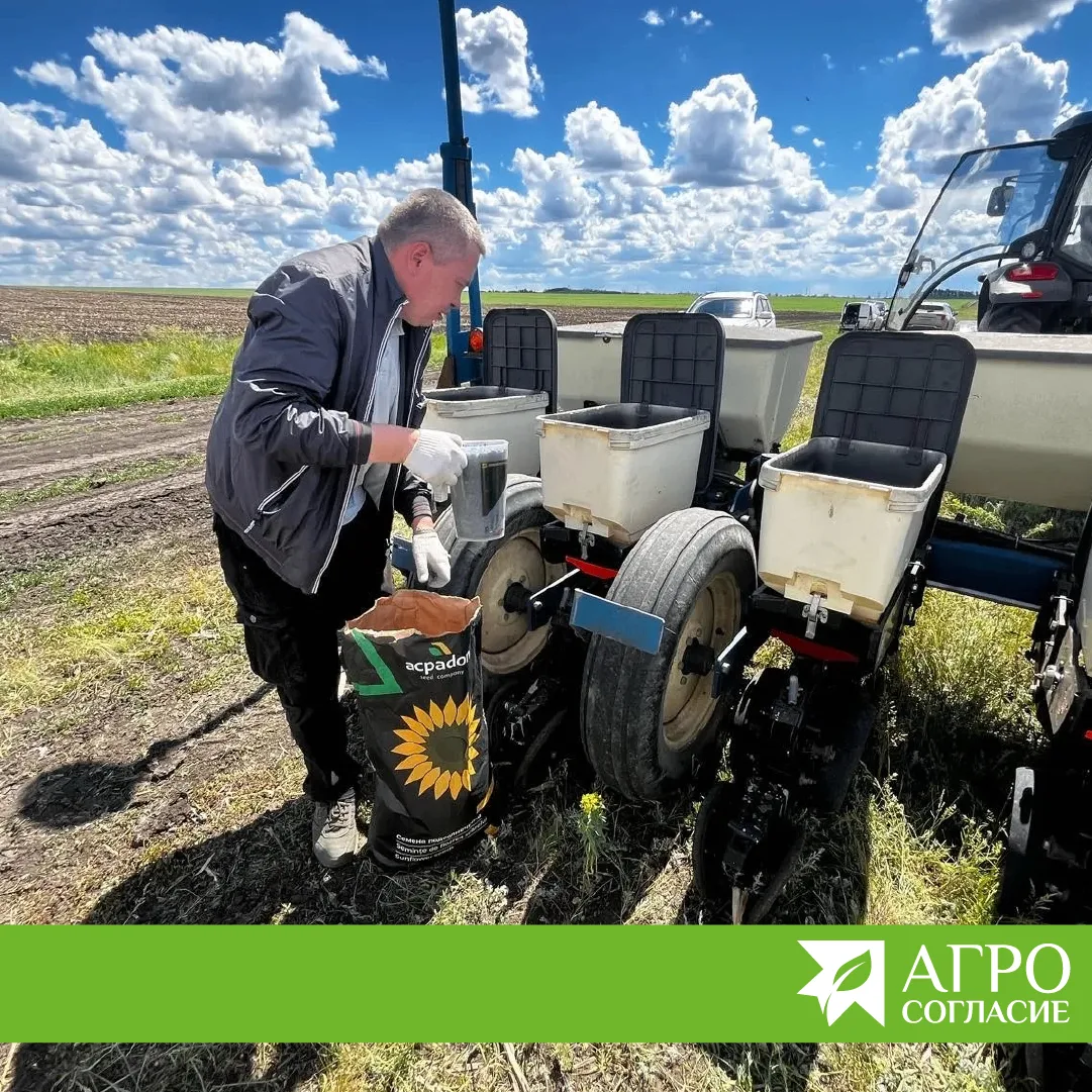 🌱 Демо-посев подсолнечника в Самарской области
