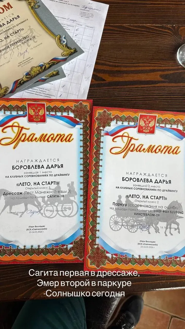 🏆✨ РЕЗУЛЬТАТЫ СОРЕВНОВАНИЙ ПО ДРАЙВИНГУ   ✨🏆