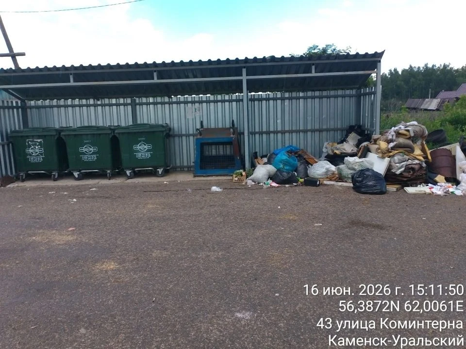 Регоператор наводит порядок на площадках сбора твердых коммунальных отходов

Особенно острой проблем