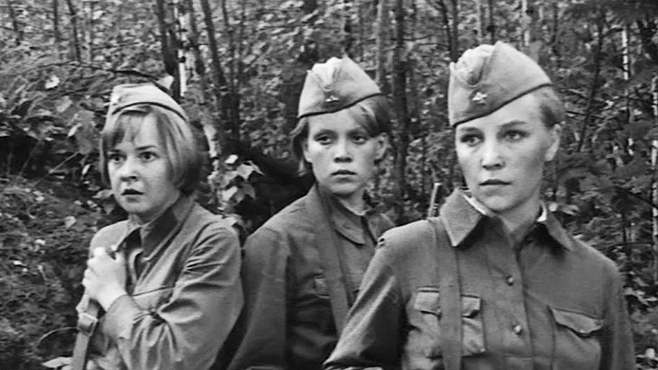«Война ведь — это не просто кто кого перестреляет. Война — это кто кого передумает»