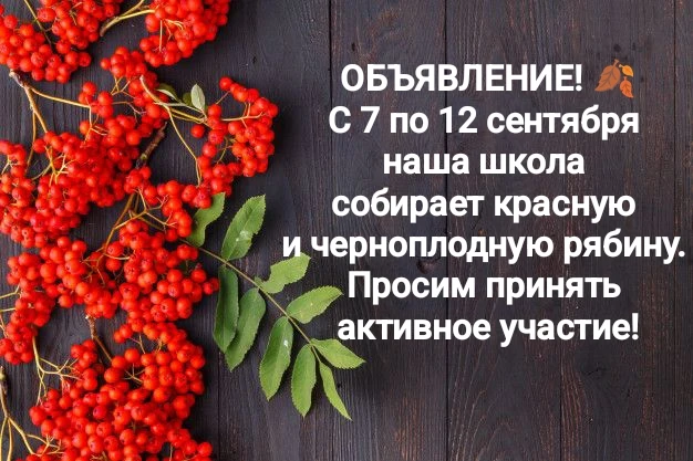 Образовательные организации Республики Татарстан принимают активное участие в Проектах ...