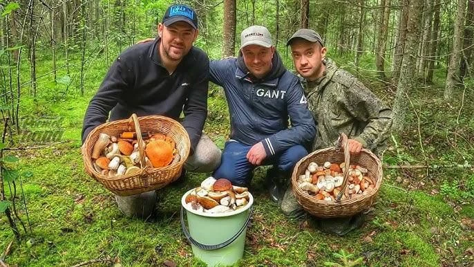 🍄 Грибники — латентные лудоманы, заявили психологи