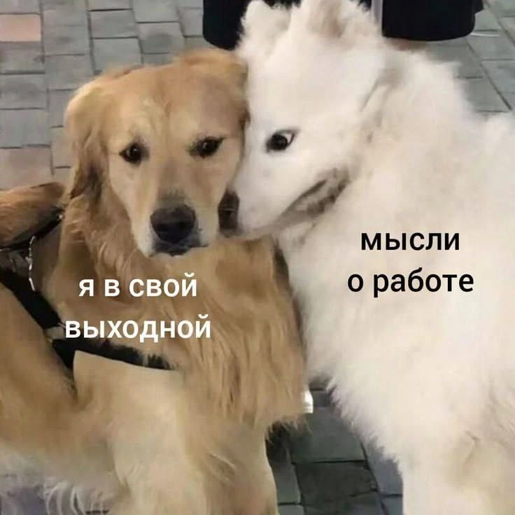Утречка! А как прошли ваши выходные?

#юмор | Подписаться на Госзаказ | Чат специалистов по 44-ФЗ и 