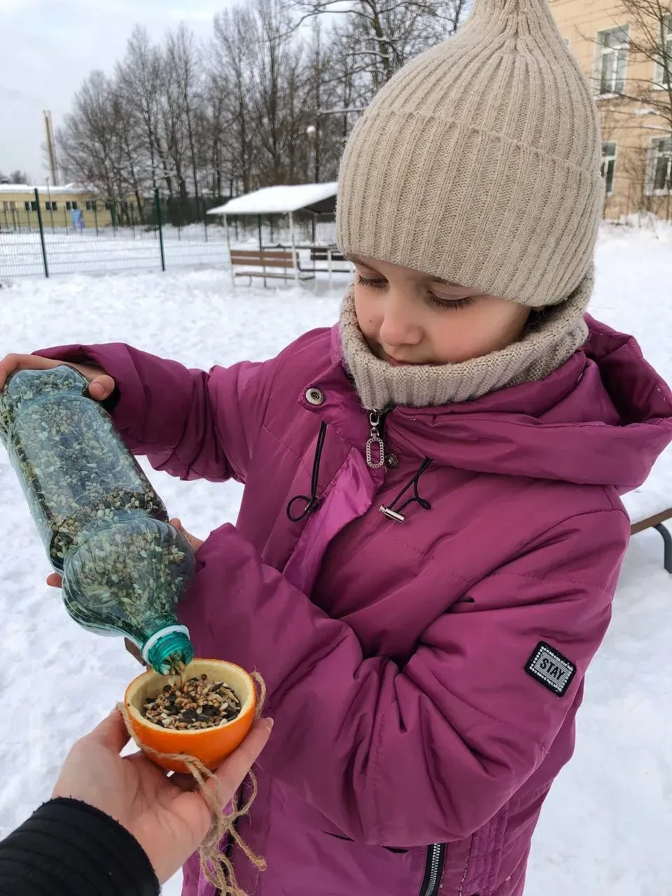 Помогаем зимующим птицам вместе! 🐦❄️ 2Аа продолжает работать над проектом "Поможем зимующим птицам" 