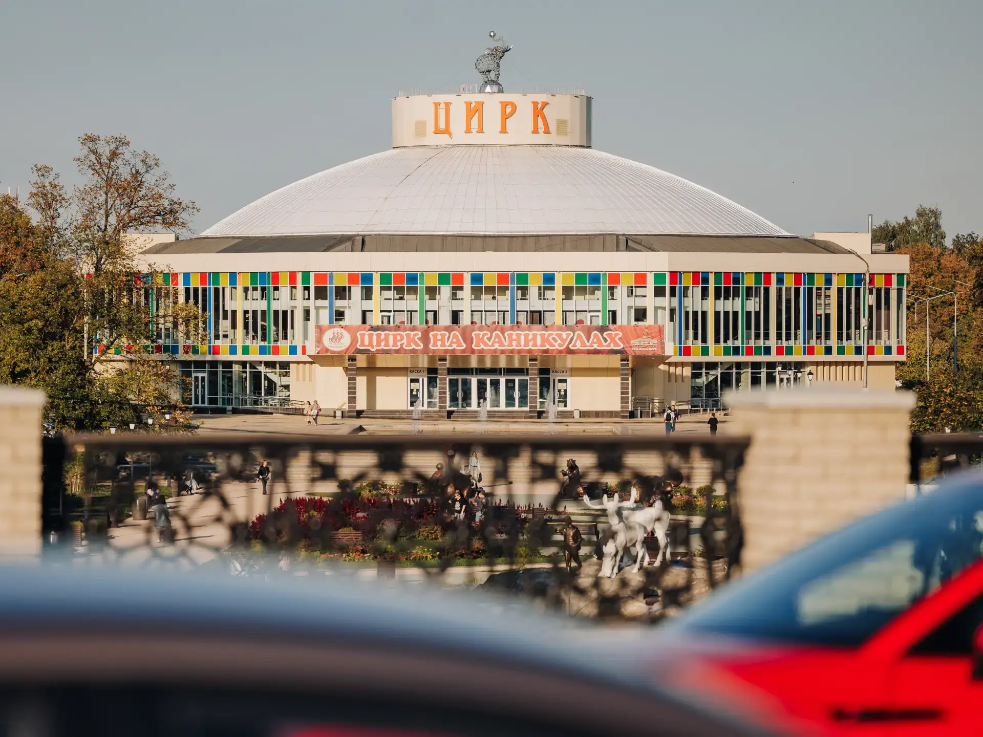 Сто лет волшебства: как рязанский цирк дарит радость от поколения к поколению

Здесь уже более века 