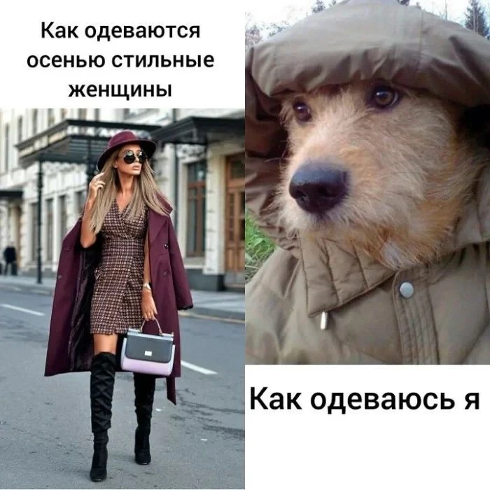 Точно я)