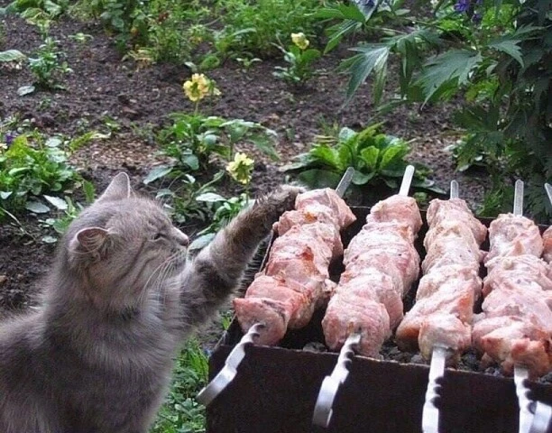 Эх, майское раздолье...