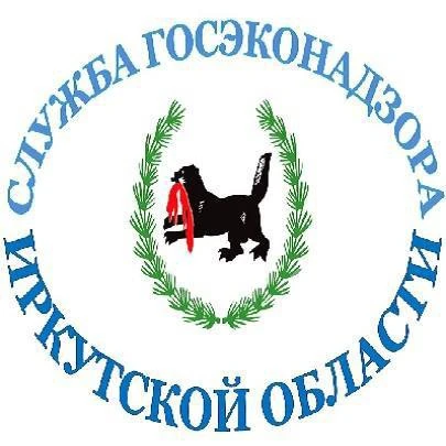 В Службу государственного экологического надзора Иркутской области, входящую в состав Правительства 