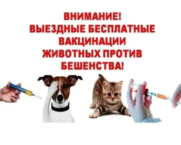 Вакцинация животных
