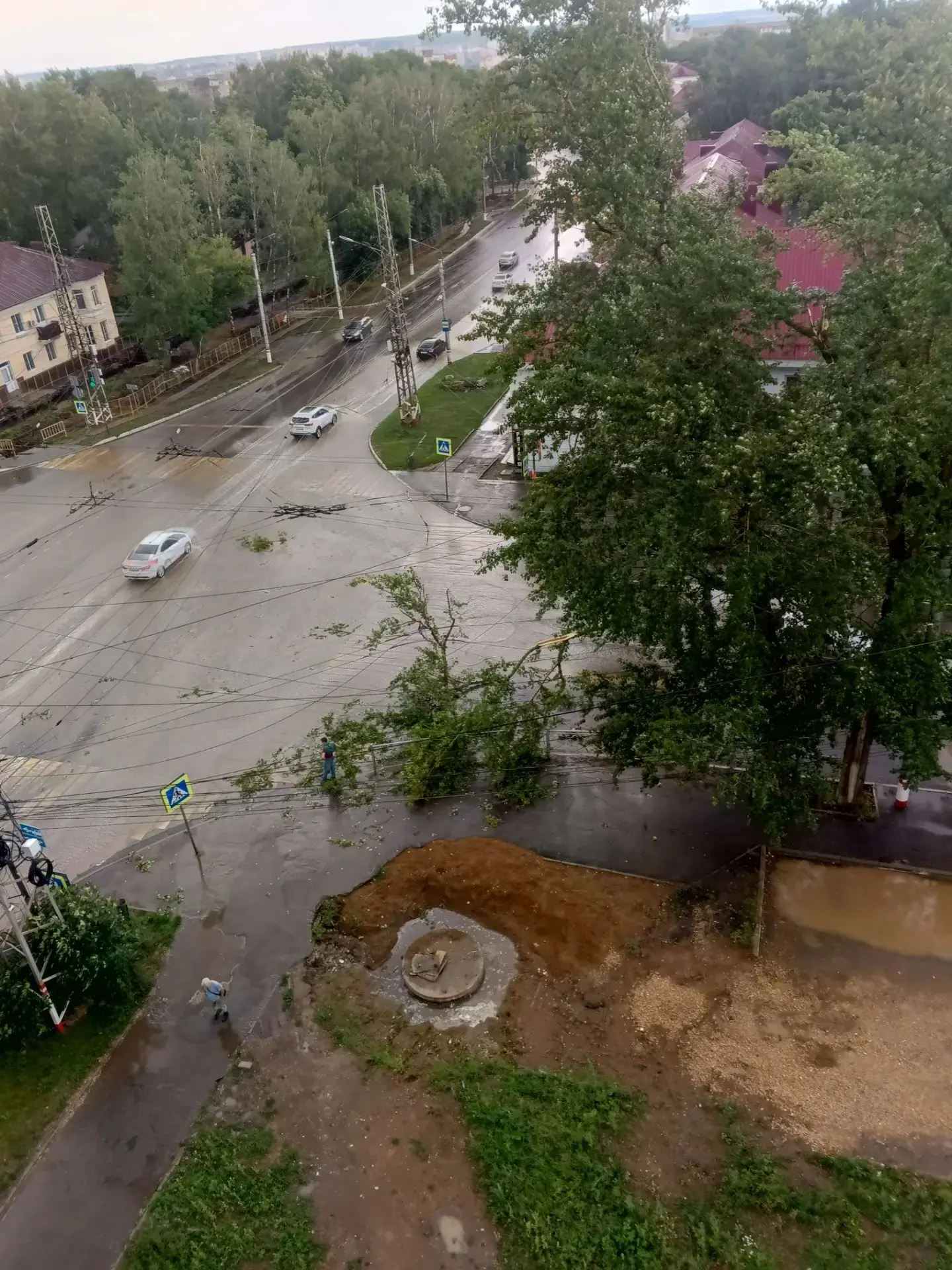 ⚡️В центре города упали от ветра ветви дерева кто и когда сплит это дерево это не первы...