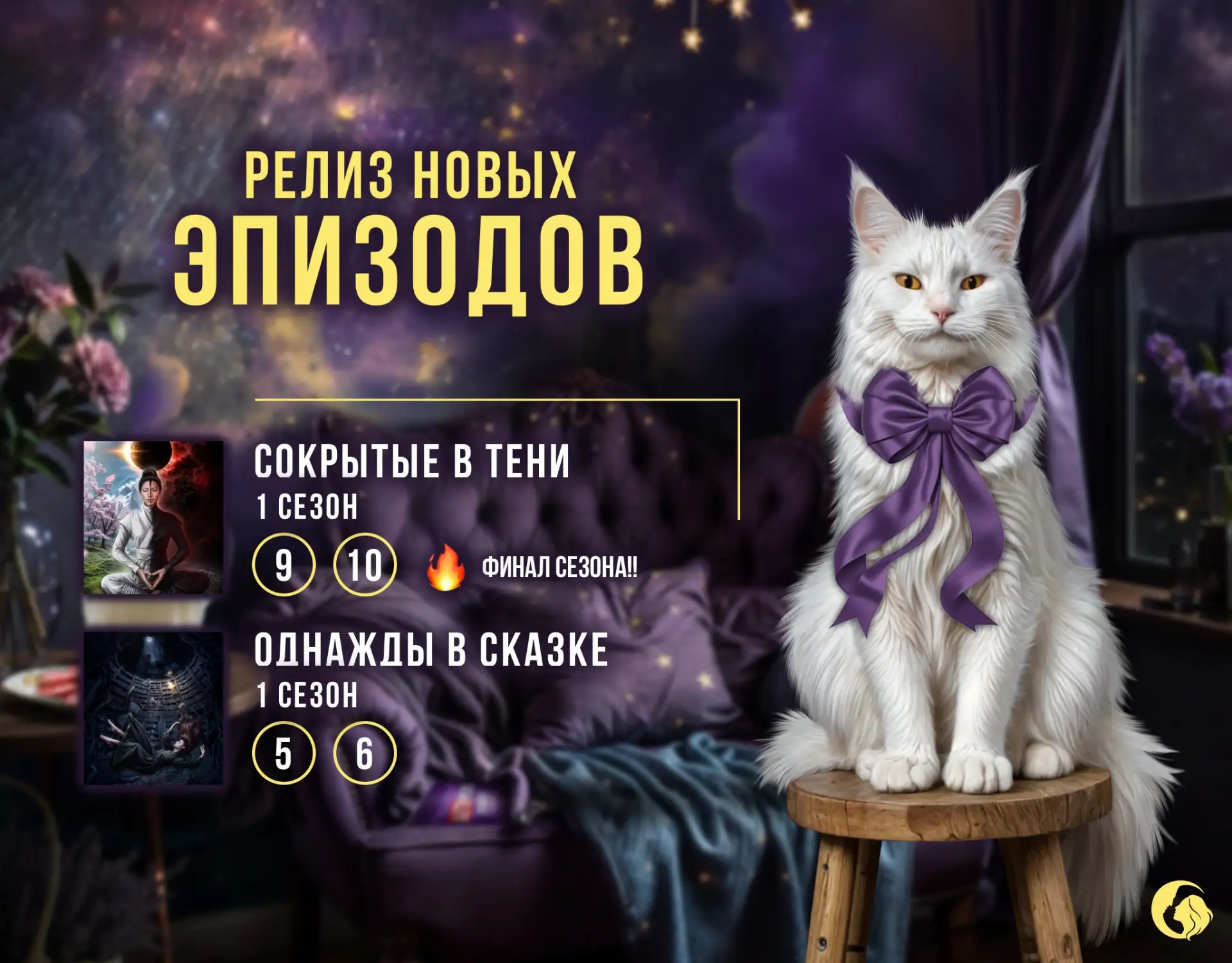 Полуночники, праздничное обновление историй уже на ваших устройствах!