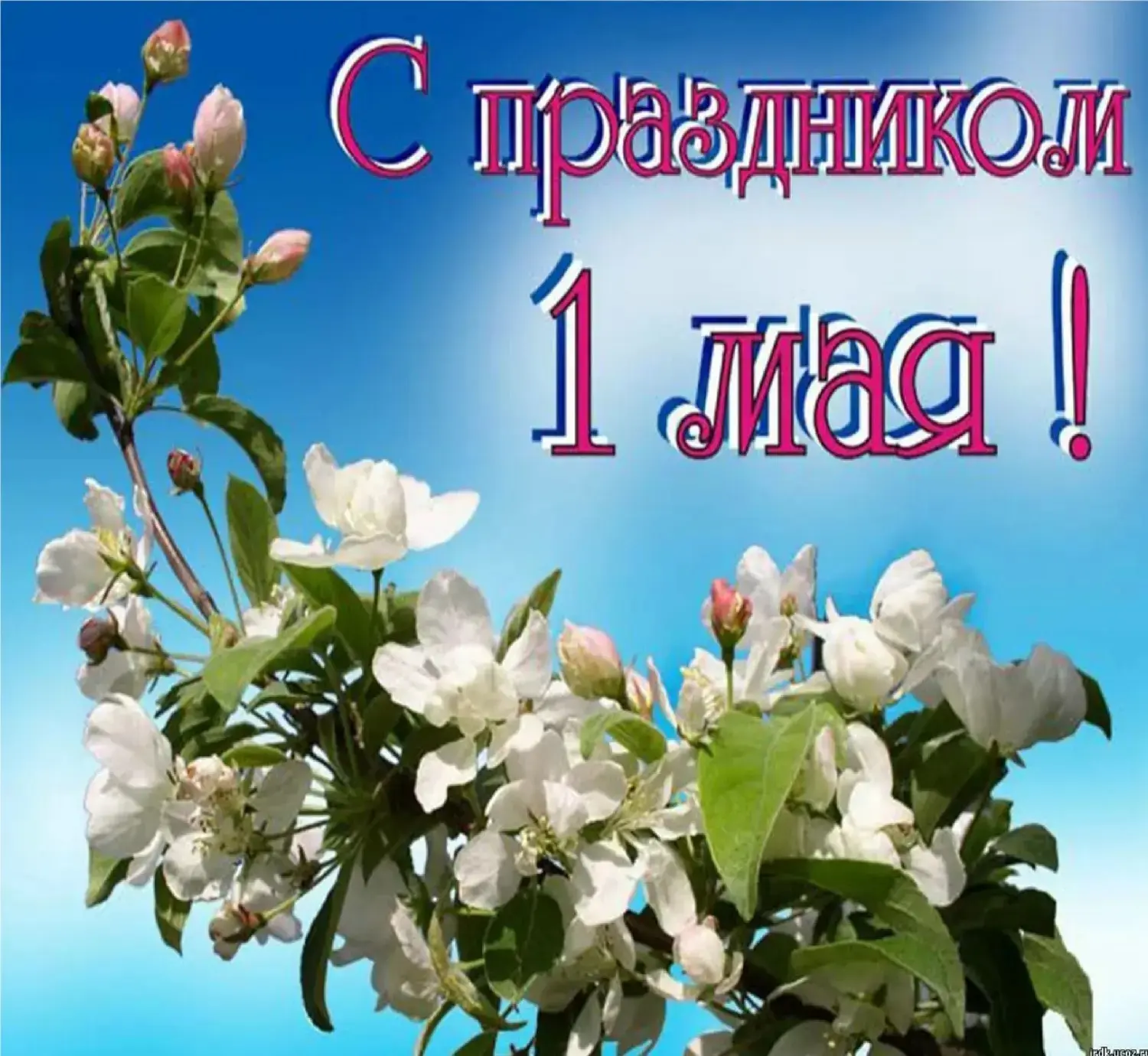 Дорогие жители Клинцовского района! 💐 Поздравляем вас с Праздником Весны и Труда!  Это  праздник все