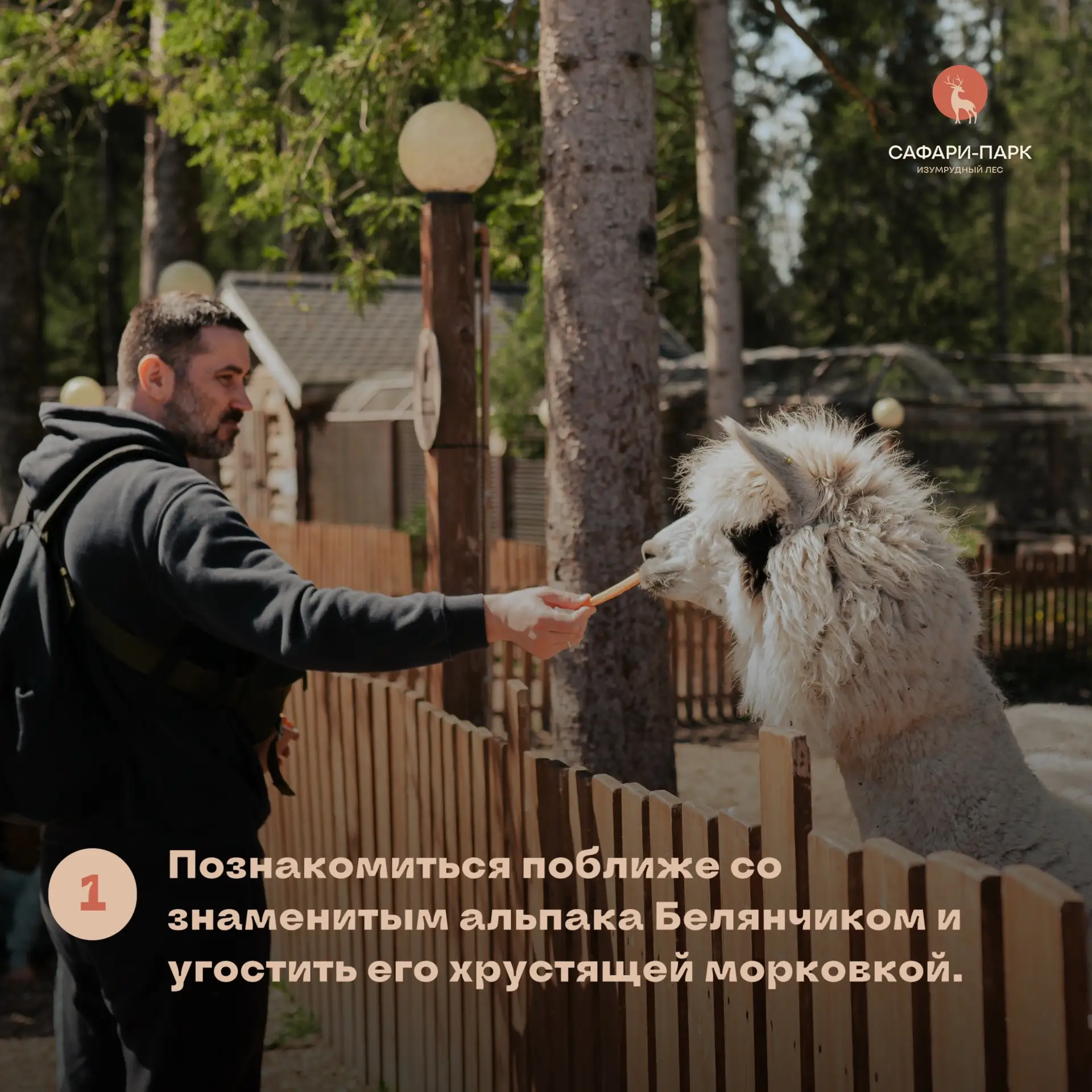 План «успеть всё»: ловим финальные летние дни в Сафари-парке ☀️