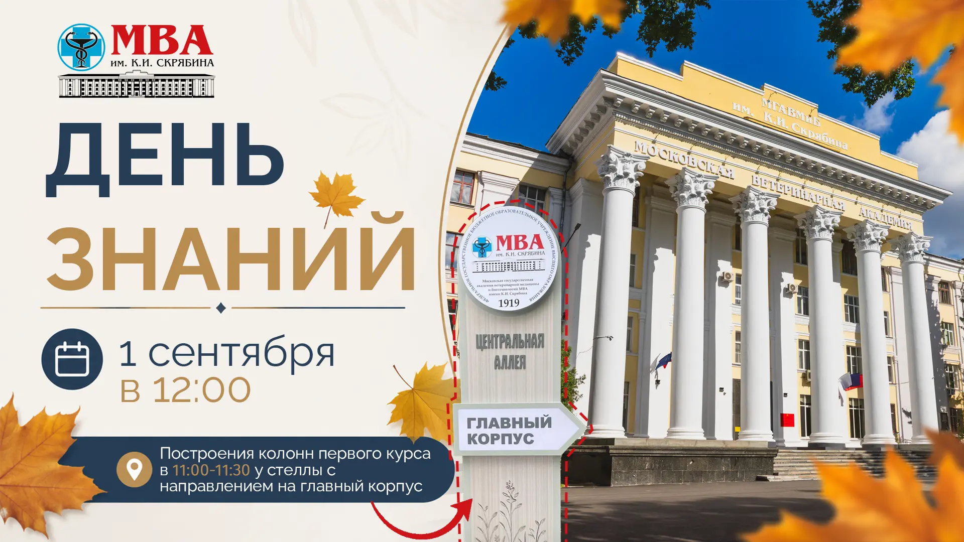 🎓 Новый учебный год начинается здесь!