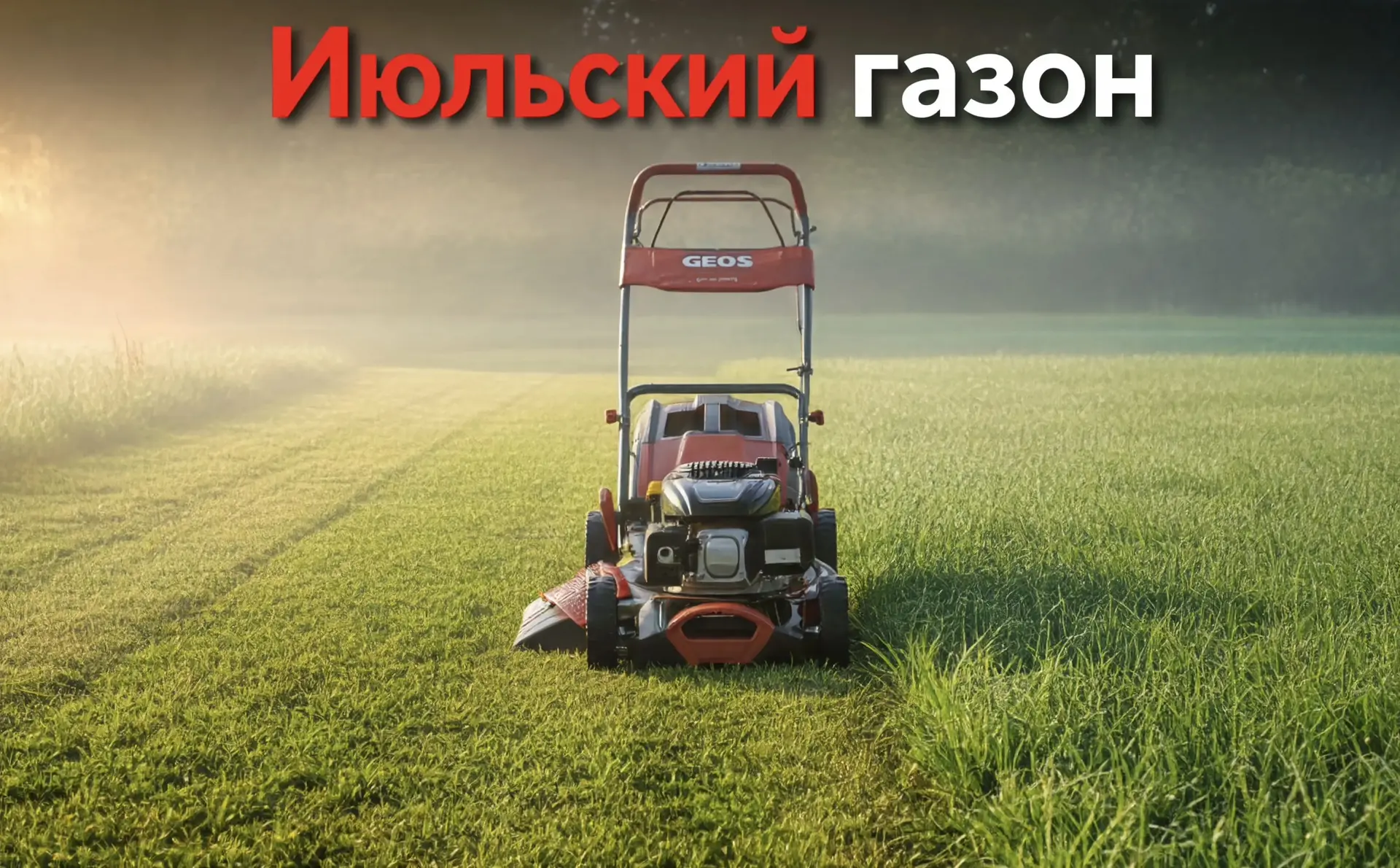🗓 Июльский газон: спасаем от жары с помощью правильной стрижки и мульчирования

В июле газон испыты