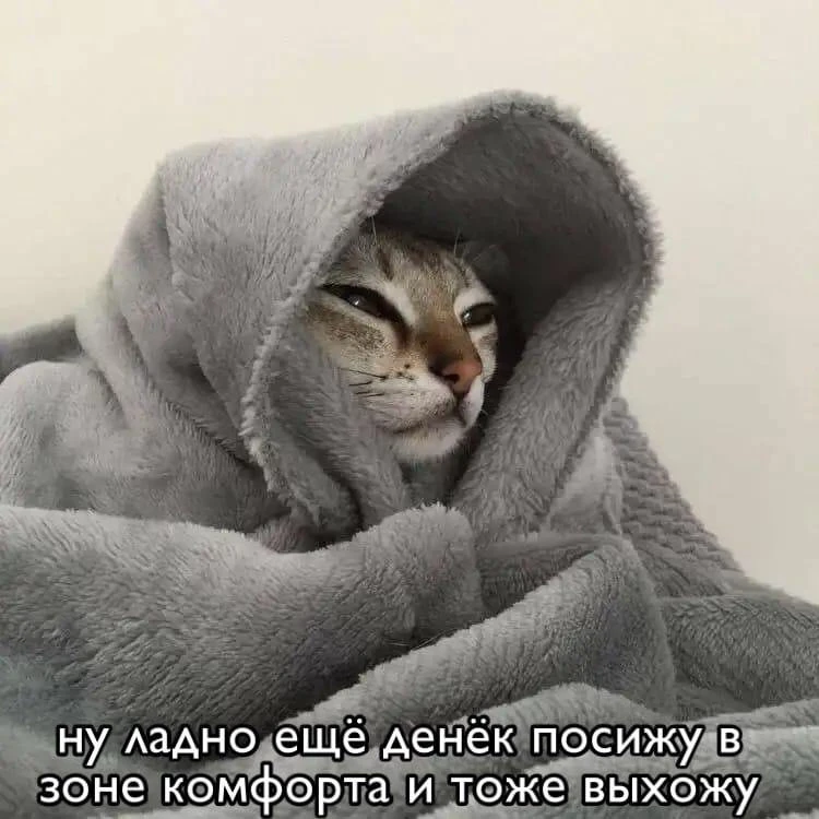 Мемы каждый день • Подписаться
