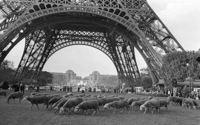 А завершаем день любопытным историческим фото. На этот раз из 1972 года. Посмотрите: це...