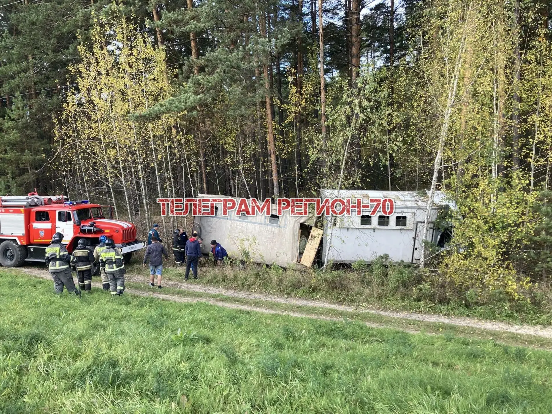 😱 Жёсткое ДТП под Томском: газель с лошадьми улетела с трассы