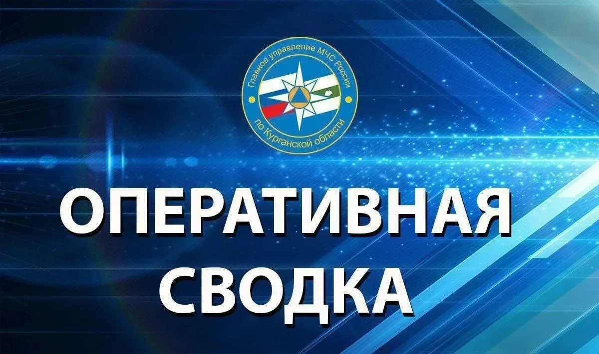 ❗За минувшие сутки в Курганской области ликвидирован 1 пожар