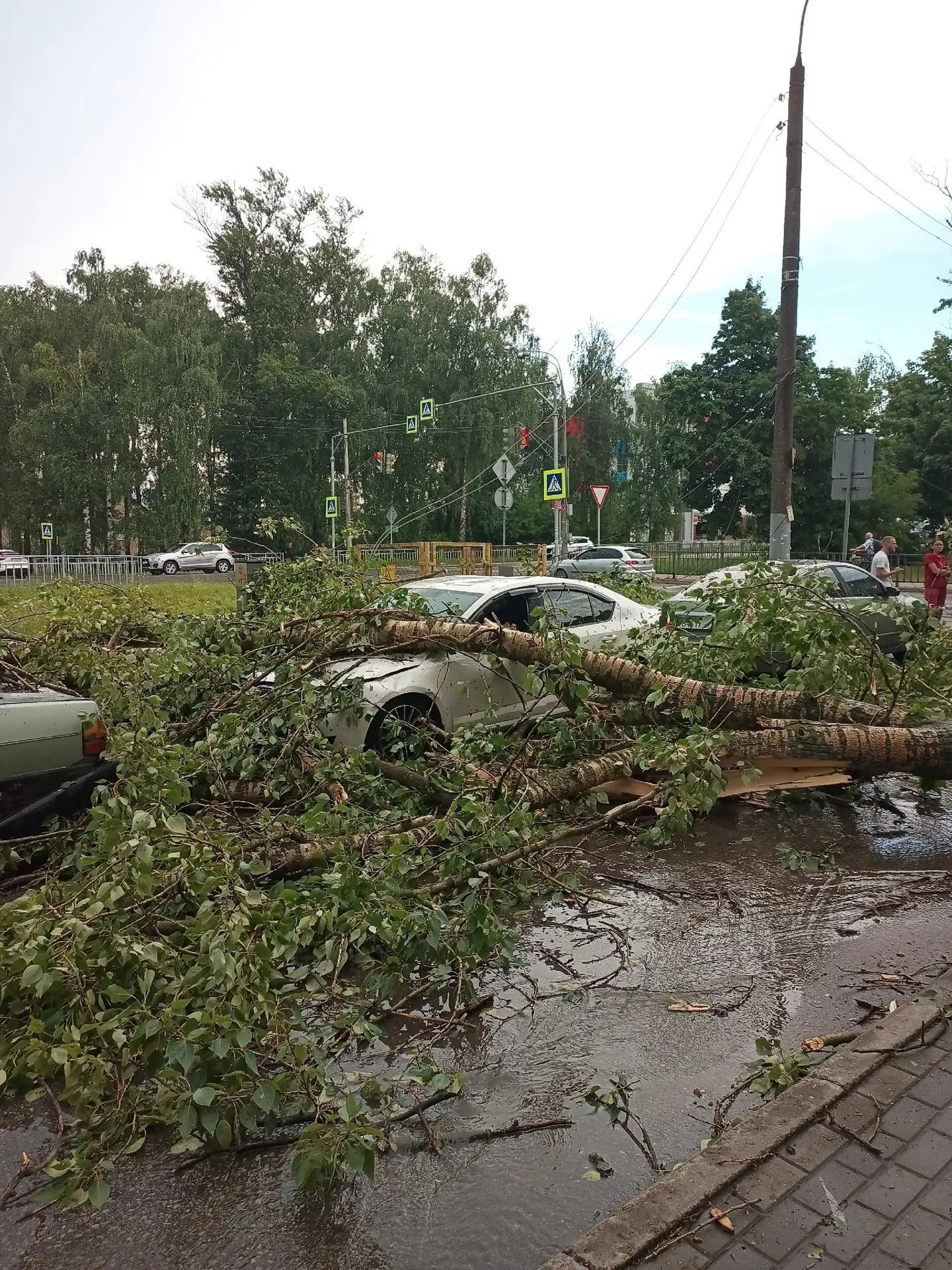 г.Кстово, ул.Магистральная 

05.07.2026 г.