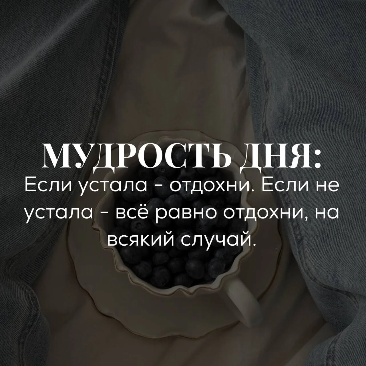 Мудрость дня:
Если устала - отдохни. Если не устала - все равно отдохни, на всякий случай.
#мудрость