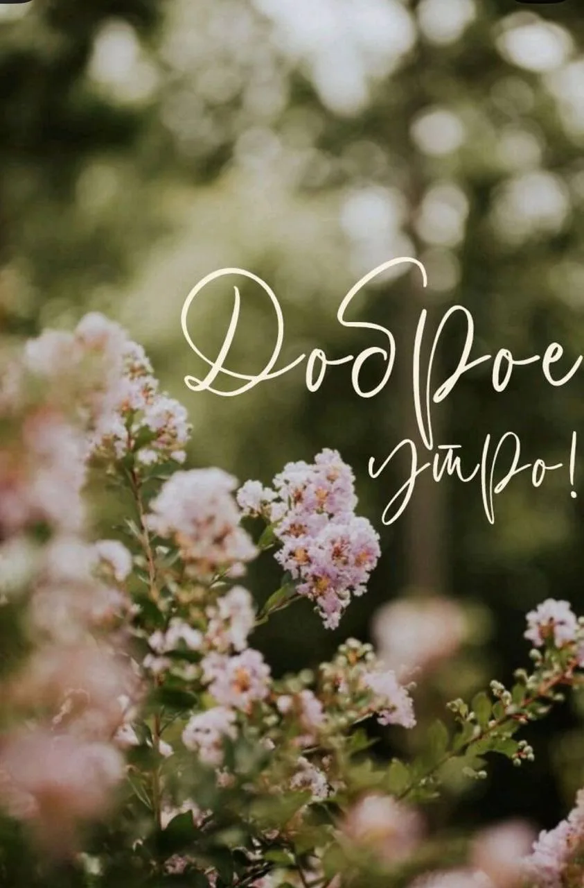 🌻 Доброе утро, соседи