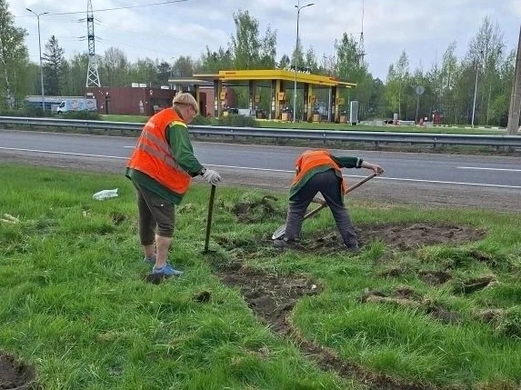 В Сестрорецке появится новый цветник.