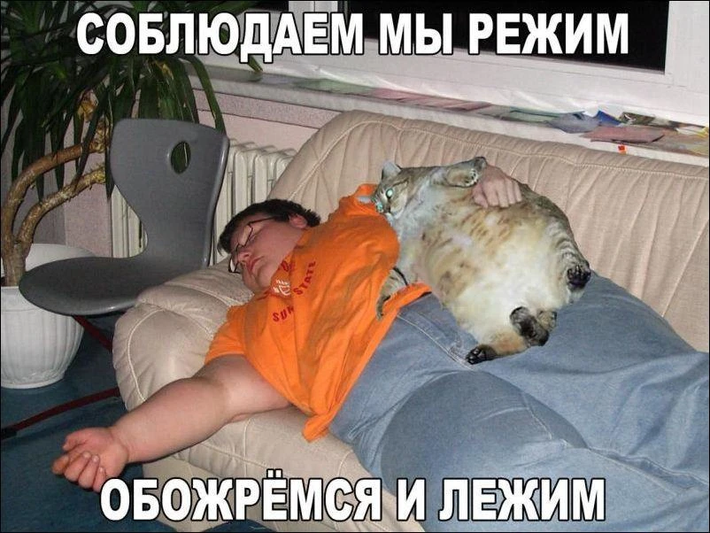 для хорошего настроения)))