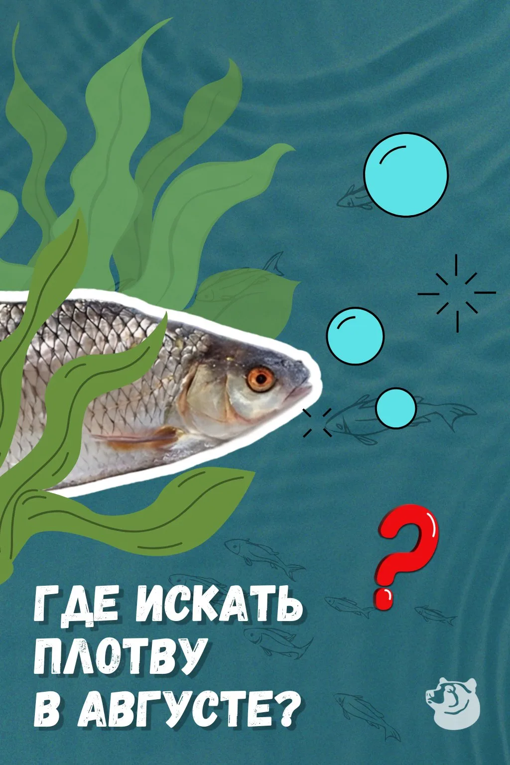 💥 ТОП мест + погода и время 💥 Коротко и по делу: