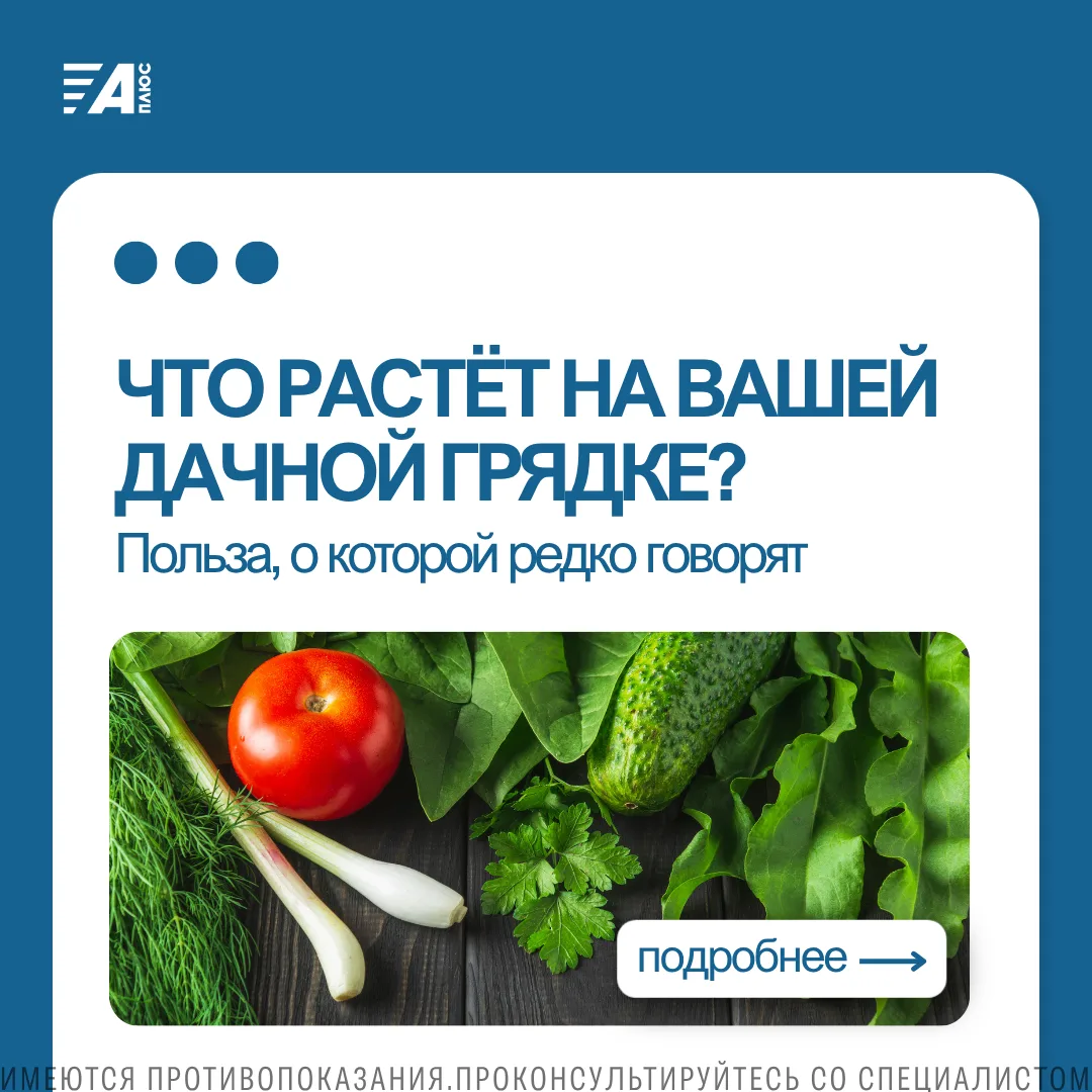 🥗ЧТО РАСТЁТ НА ВАШЕЙ ДАЧНОЙ ГРЯДКЕ? ПОЛЬЗА, О КОТОРОЙ РЕДКО ГОВОРЯТ
