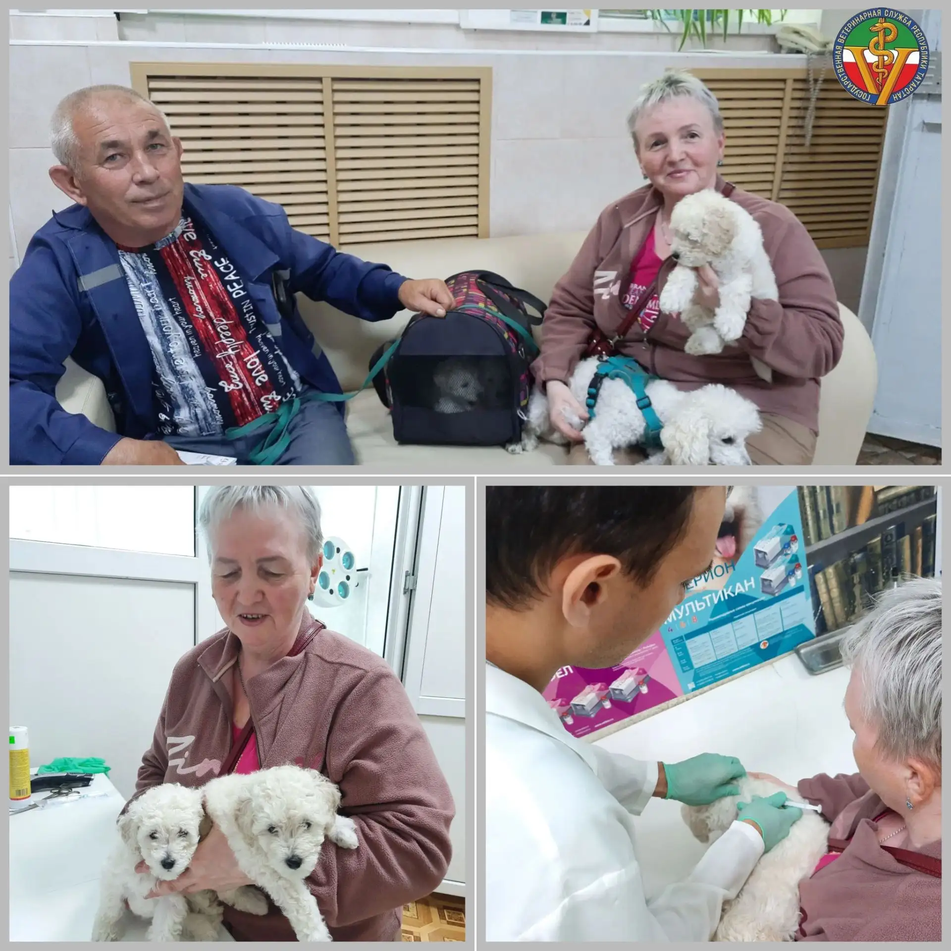 🐶 Заботимся о здоровье питомцев вместе! 🐶