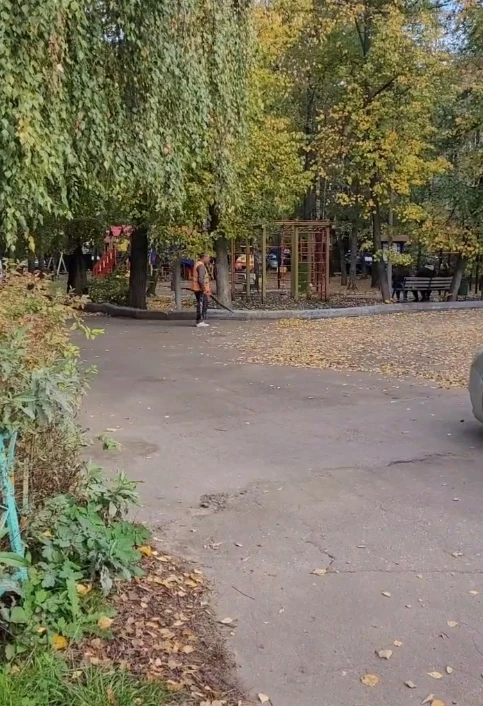 🍂 «Листья просто переезжают с места на место»: жители Томилино пожаловались на новый м...
