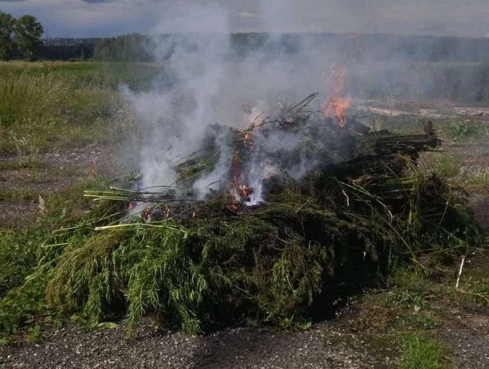 🚜В Новокузнецком округе полицейские совместно с представителями администрации уничтожи...