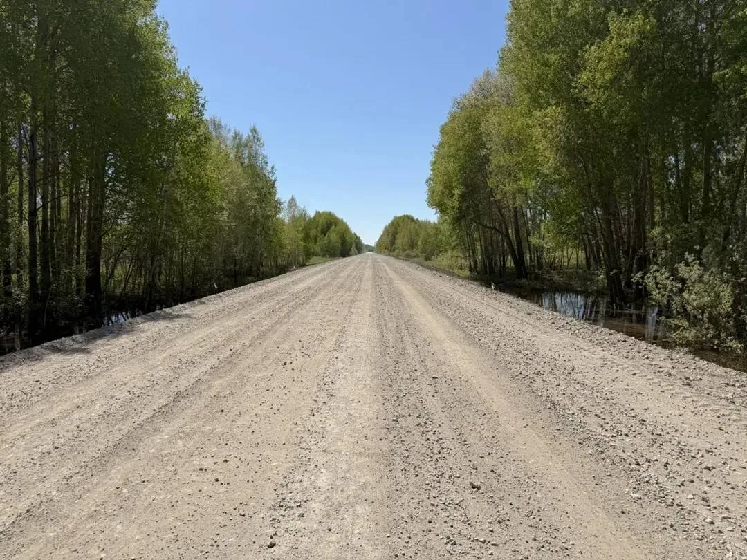 В течение года приведут в порядок 45 километров дорог региона, ведущих к школам