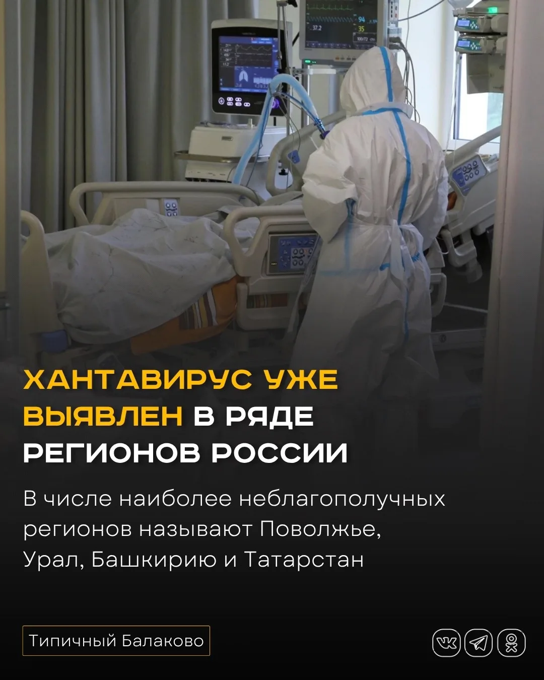 Хантавирус уже выявлен в ряде регионов России  Хантавирус, о котором в последние дни вновь заговорил