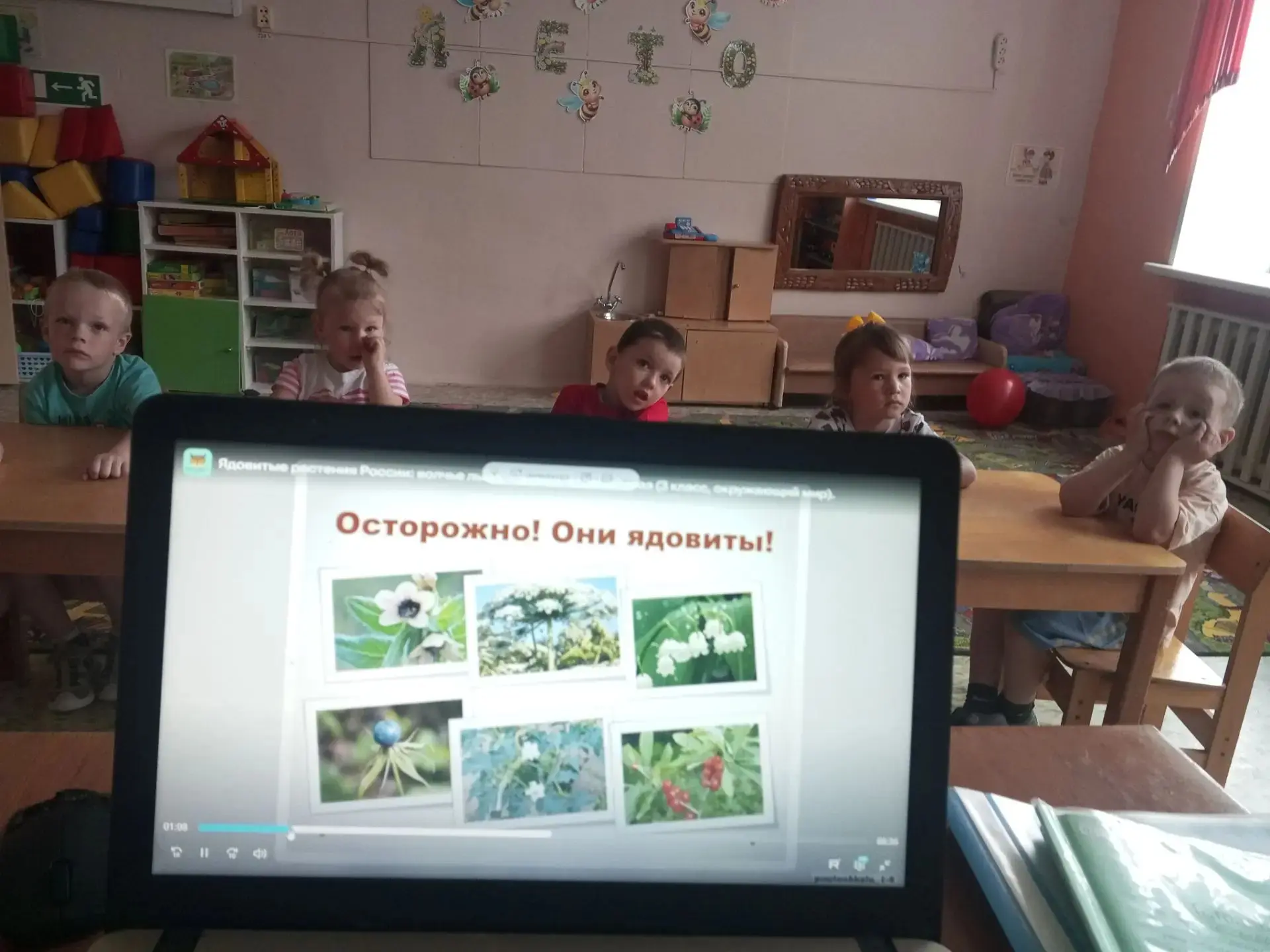 🌿🤫 А вы знаете, какие растения ядовитые?
Как их распознать? 🤔
А наши воспитанники — знают! 👍

