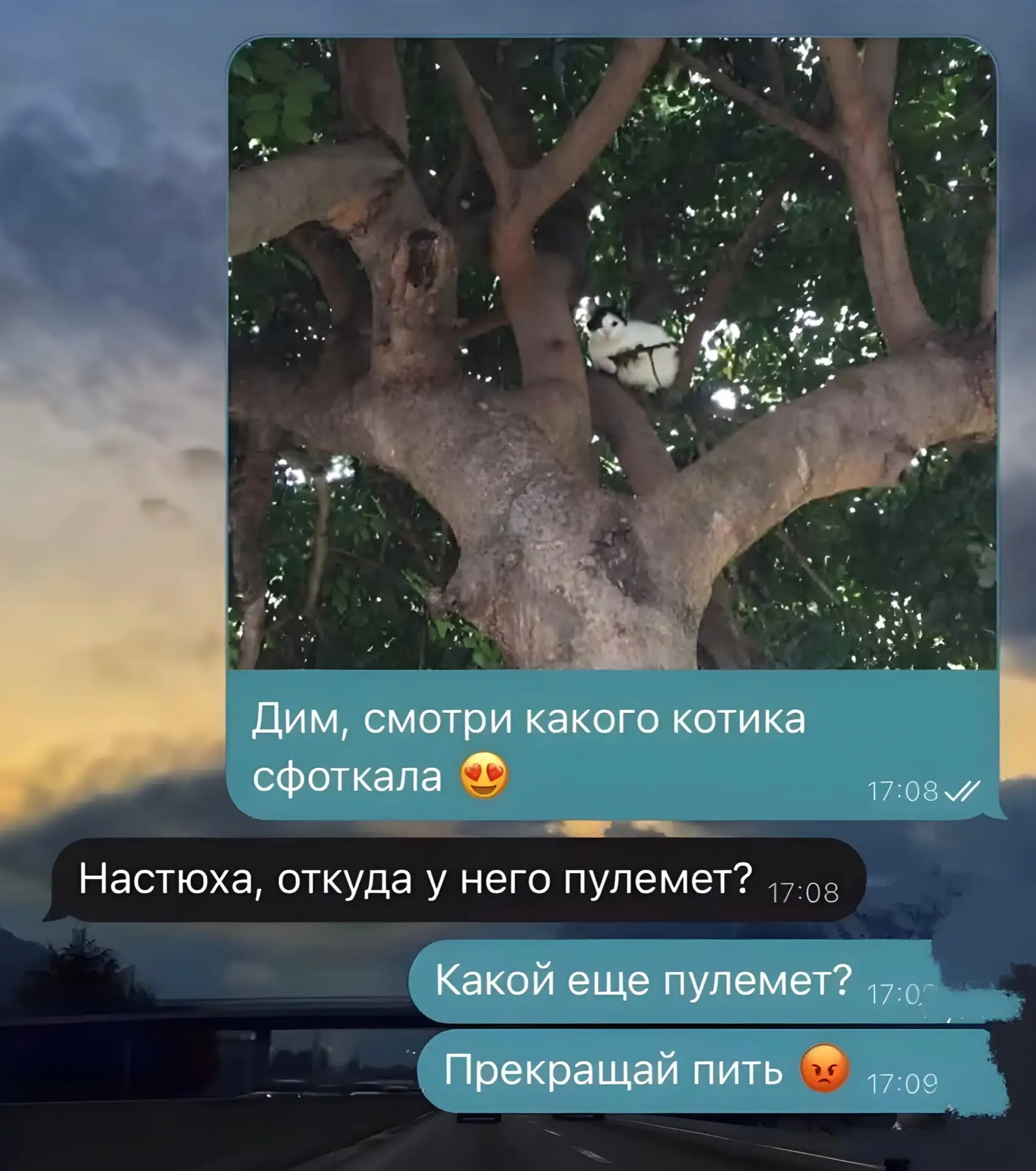Подписаться