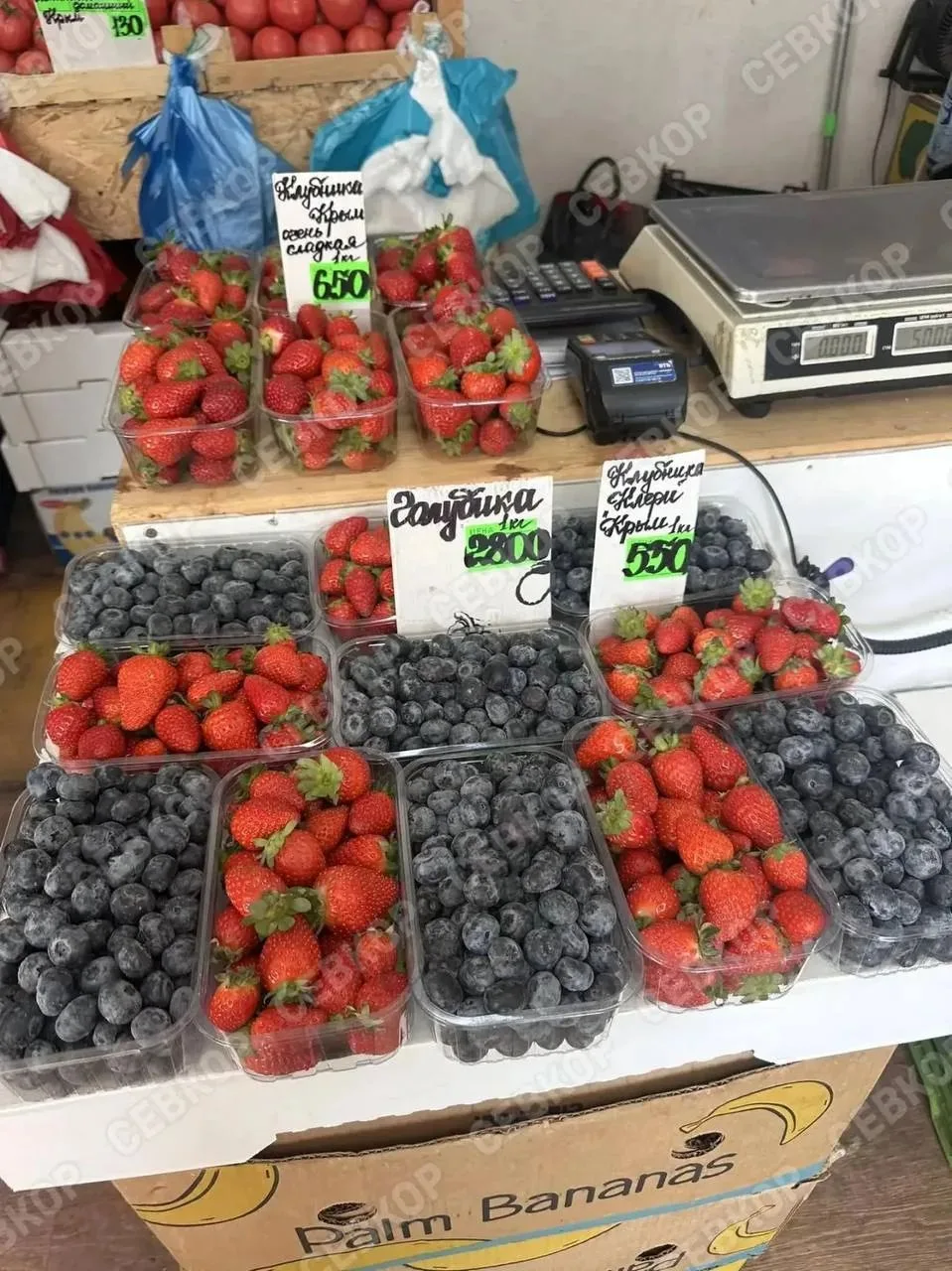 🍓 Ценник на голубику и клубнику.
