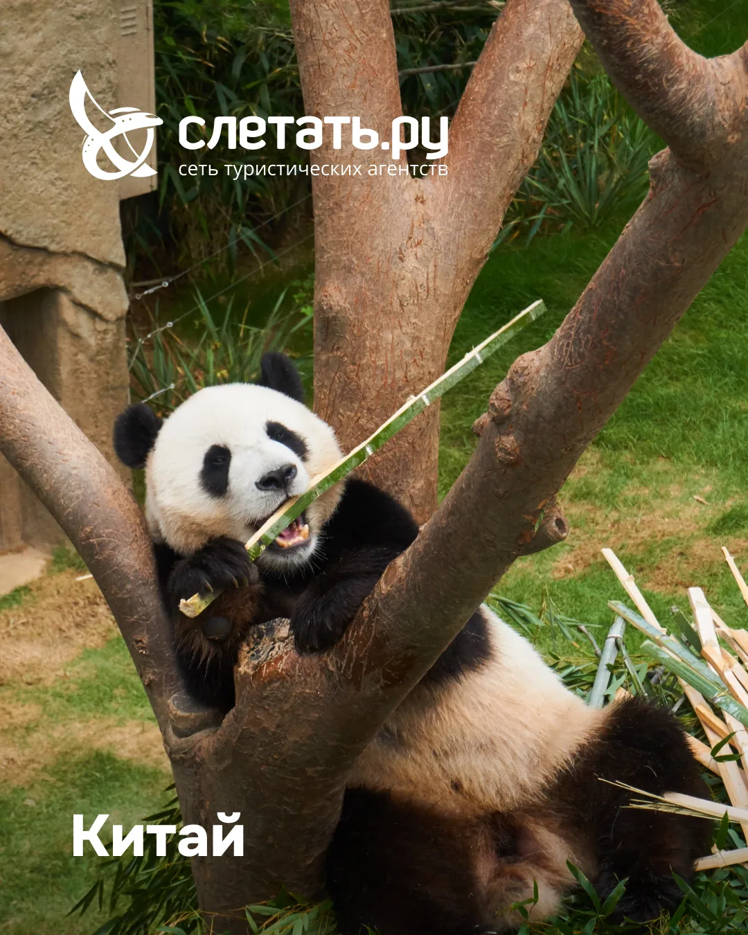 Ни хао! Или как съездить в Китай и вернуться счастливым
