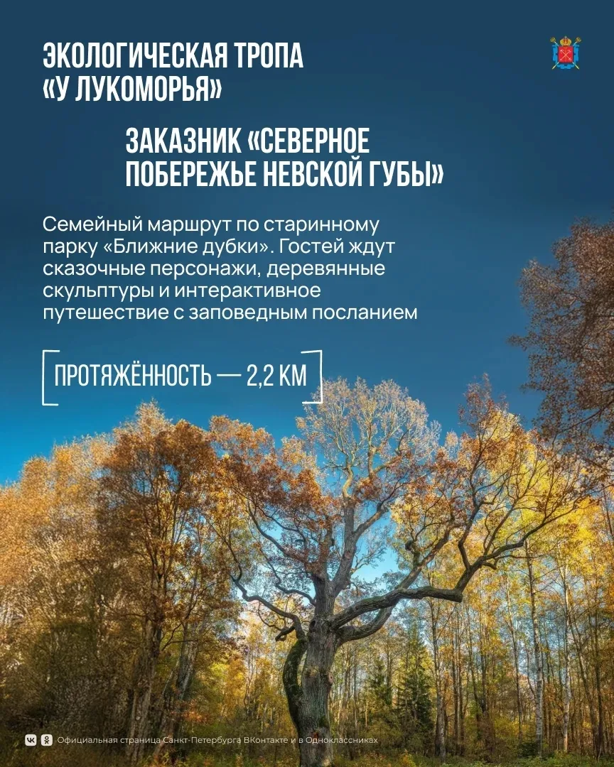 Экологические тропы Петербурга — отличный способ познакомиться с природой города и открыть для себя 
