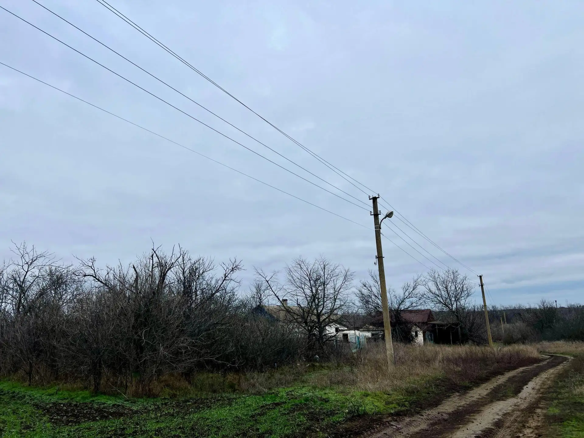 🌳 Акимовский и Розовский районы — профилактика сетей  В Акимовском районе энергетики «Запорожьеэнерг