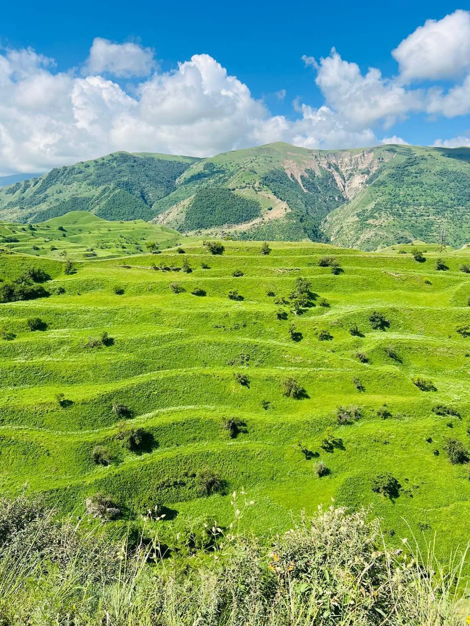 Горящие в Дагестан 
по СУПЕР ЦЕНЕ 🤩

⛰️ Подготовила для вас варианты отдыха с прямыми рейсами из Са
