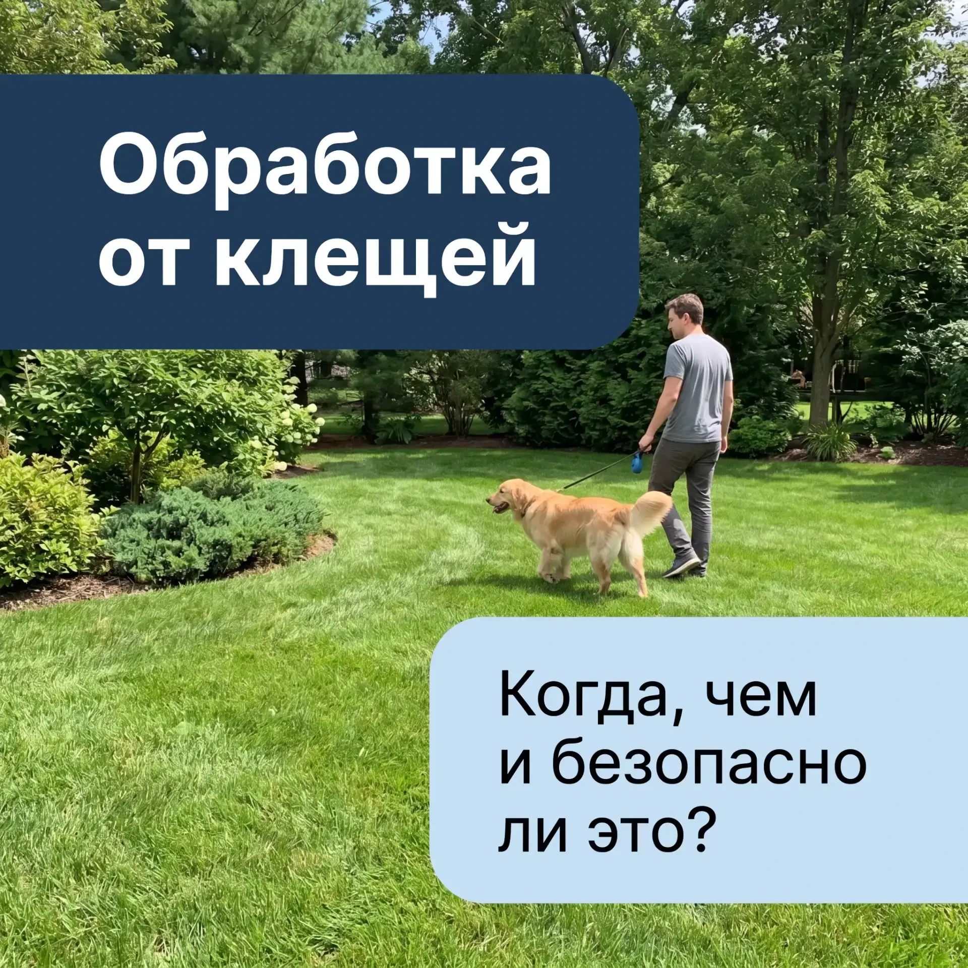 Обработка от клещей: когда, чем и безопасно ли это?