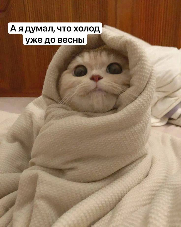 Атлантическое тепло активно возвращается в столичный регион, — синоптики