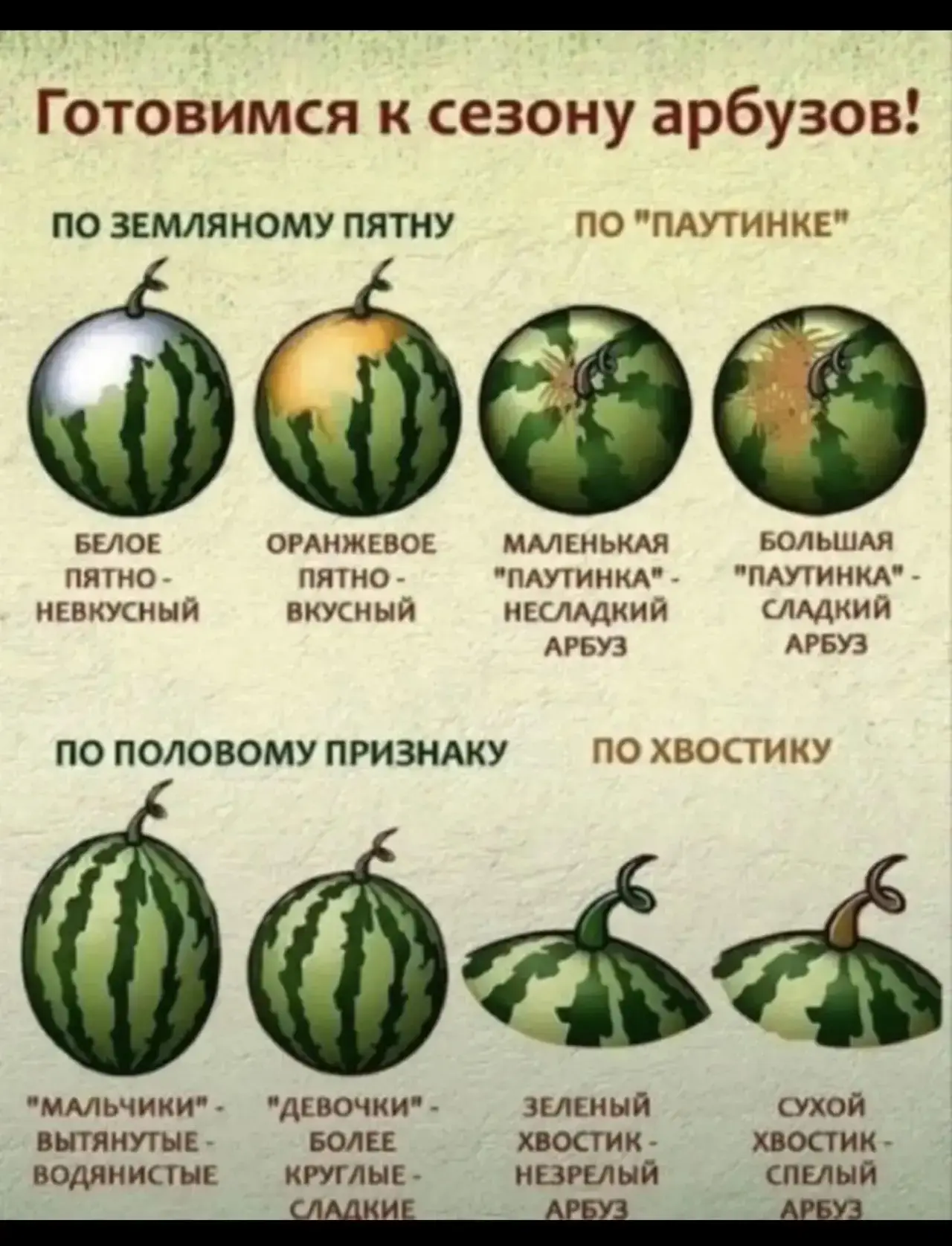 Протестировали.