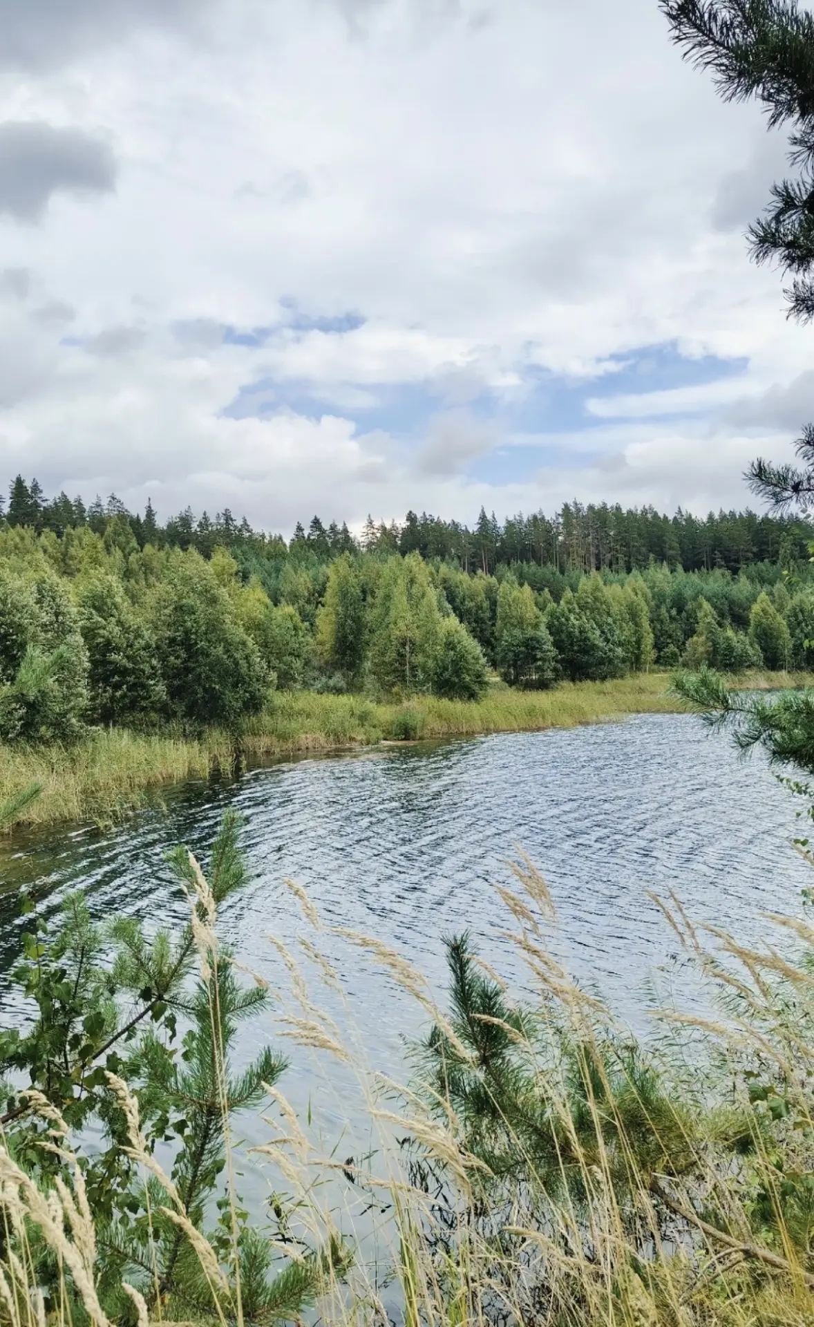 Тосненский район.