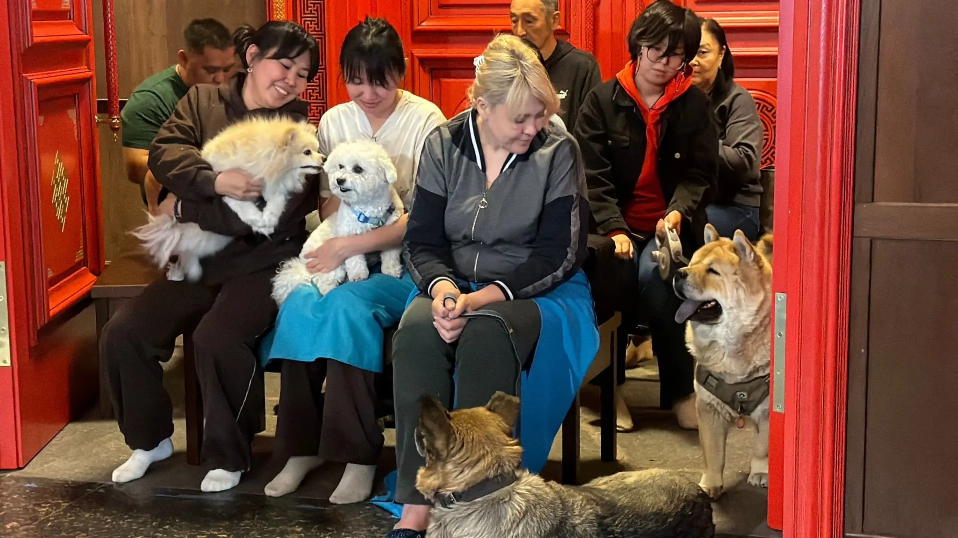 Фотографии с прошедшей церемонии 😍🐶  Напомним, в Кызыле прошел ритуал благословения домашних животны