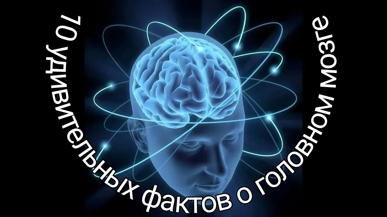 🧠 Загадки и возможности: 
10 удивительных фактов 
о головном мозге  
К Всемирному дню мозга 
(22 ию
